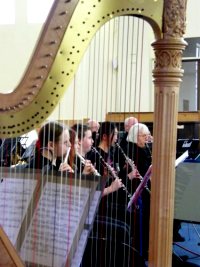 Gallery Wind - through a harp