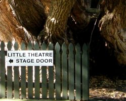 Stage door