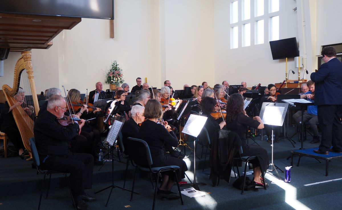 view across violins