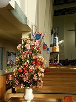 St James flowers